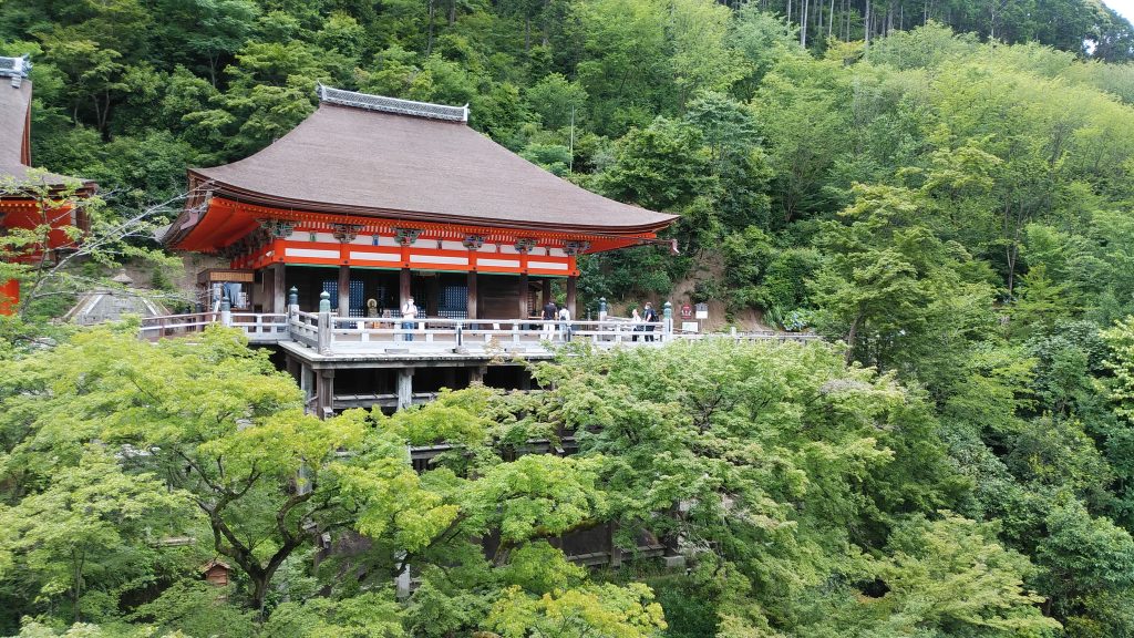 新緑と清水寺