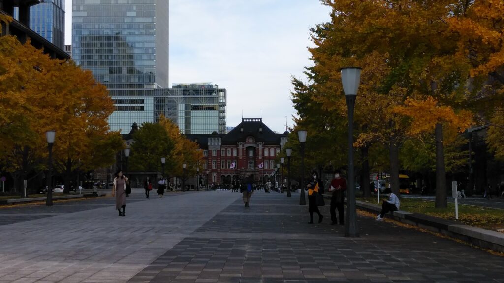 東京駅付近の紅葉
