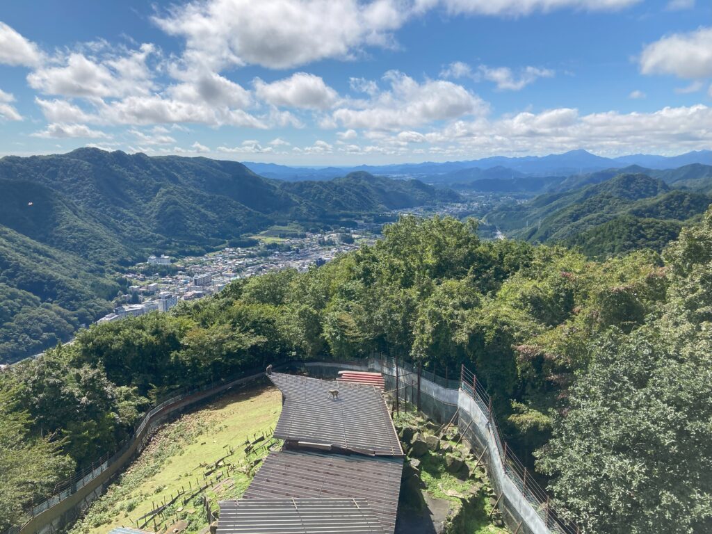 おさるの山