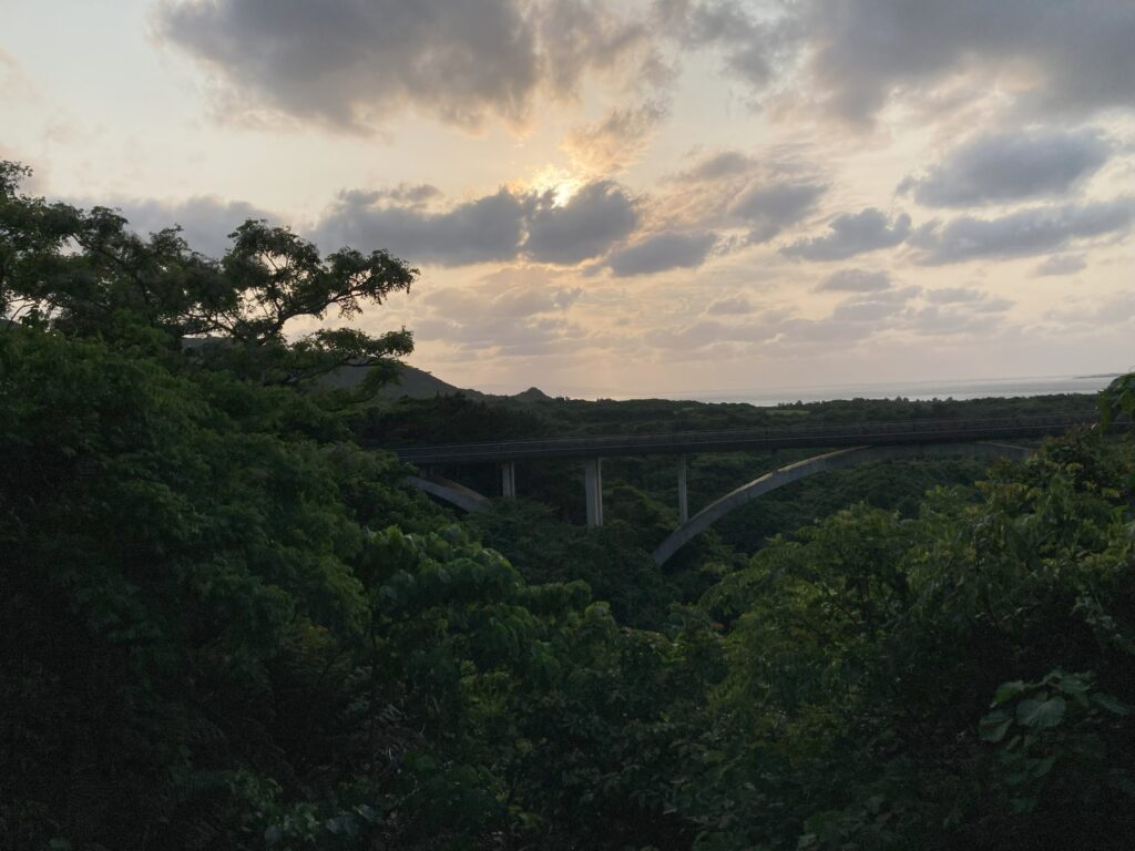 バンナ公園Dゾーン展望台からの眺め