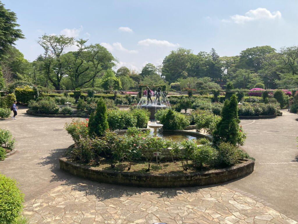 里見公園バラ園5月1日