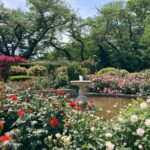 Thumbnail of related posts 175
