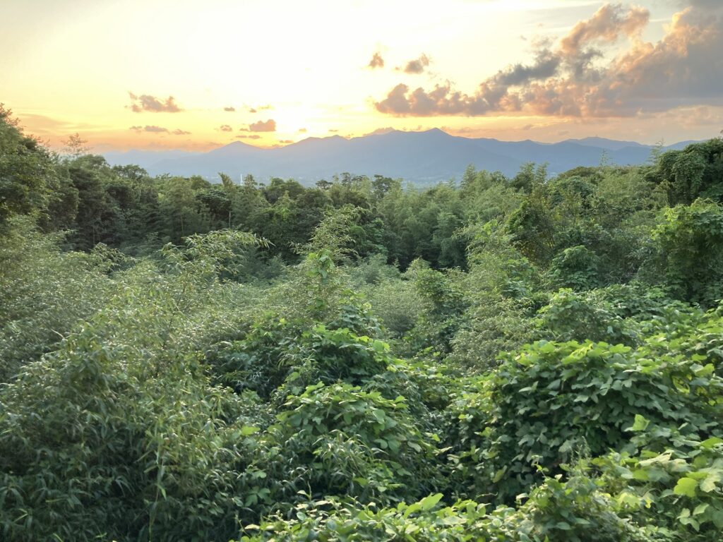 部屋からの夕日