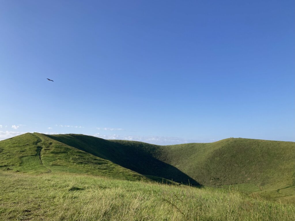 鬼岳とハチクマ？