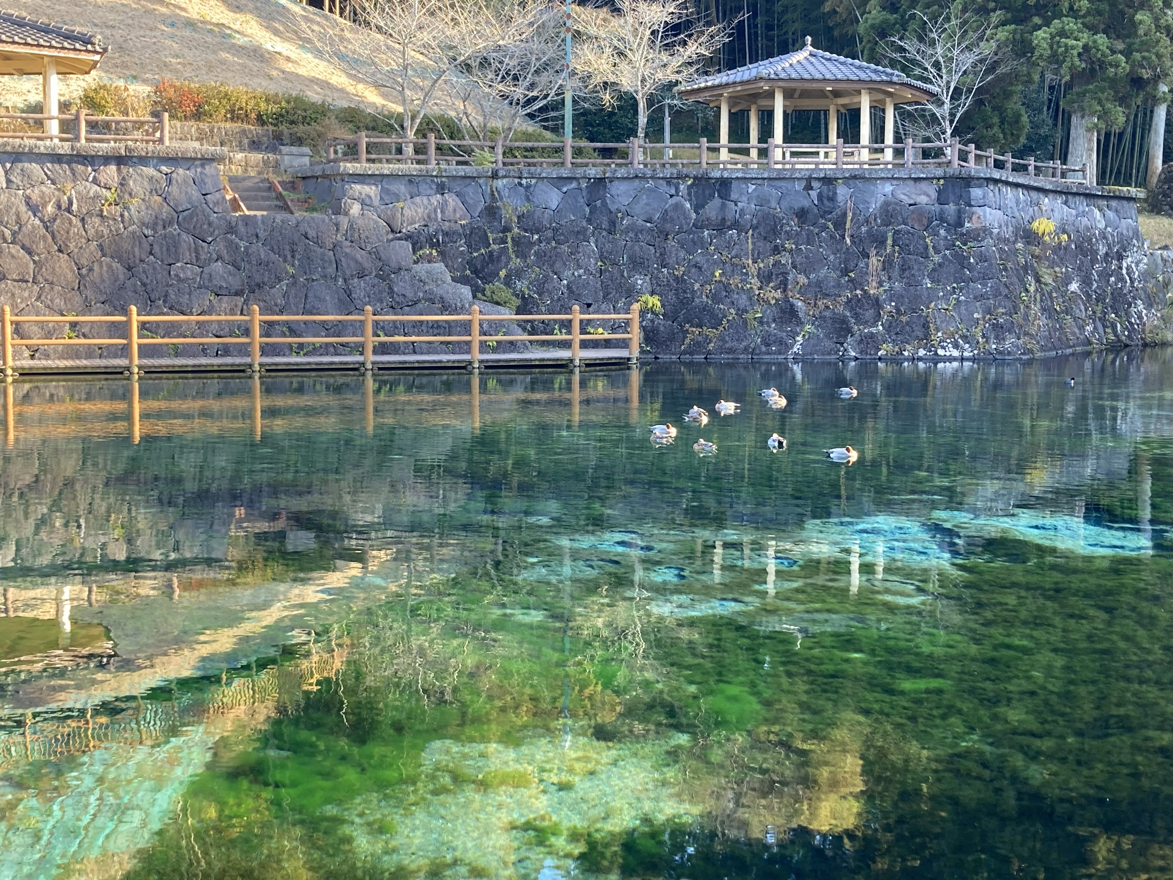 霧島は水が豊富