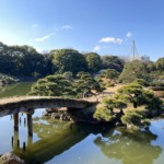 Thumbnail of post image 145